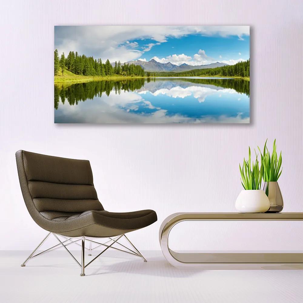 Obraz plexi Les jazero hory príroda 120x60 cm