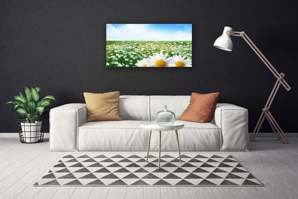 Obraz Canvas Sedmokrásky kvety lúka pole 140x70 cm