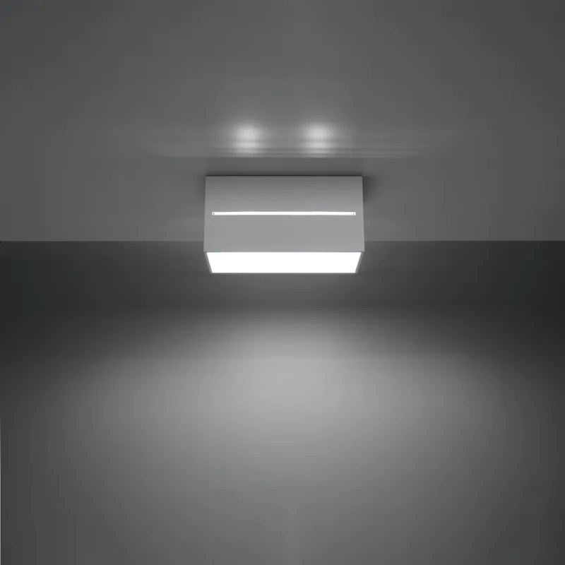 LOBO 2 Stropné svetlo, biela SL.0383 - Sollux