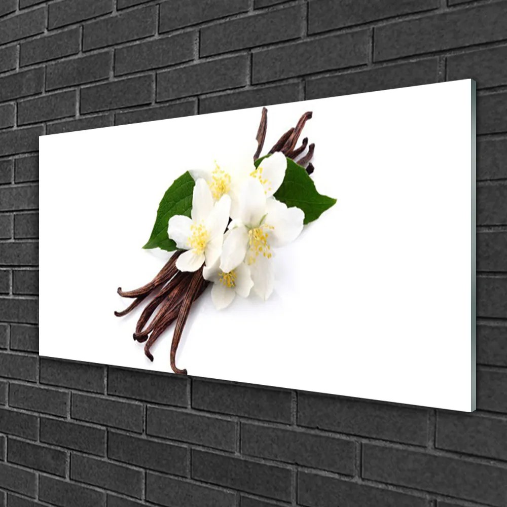 Skleneny obraz Vanilková tyčinka do kuchyne 120x60 cm