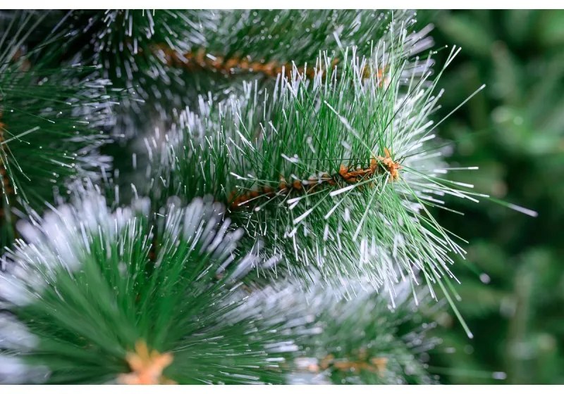Limpol Vianočný stromček Borovica Natália – 150 cm