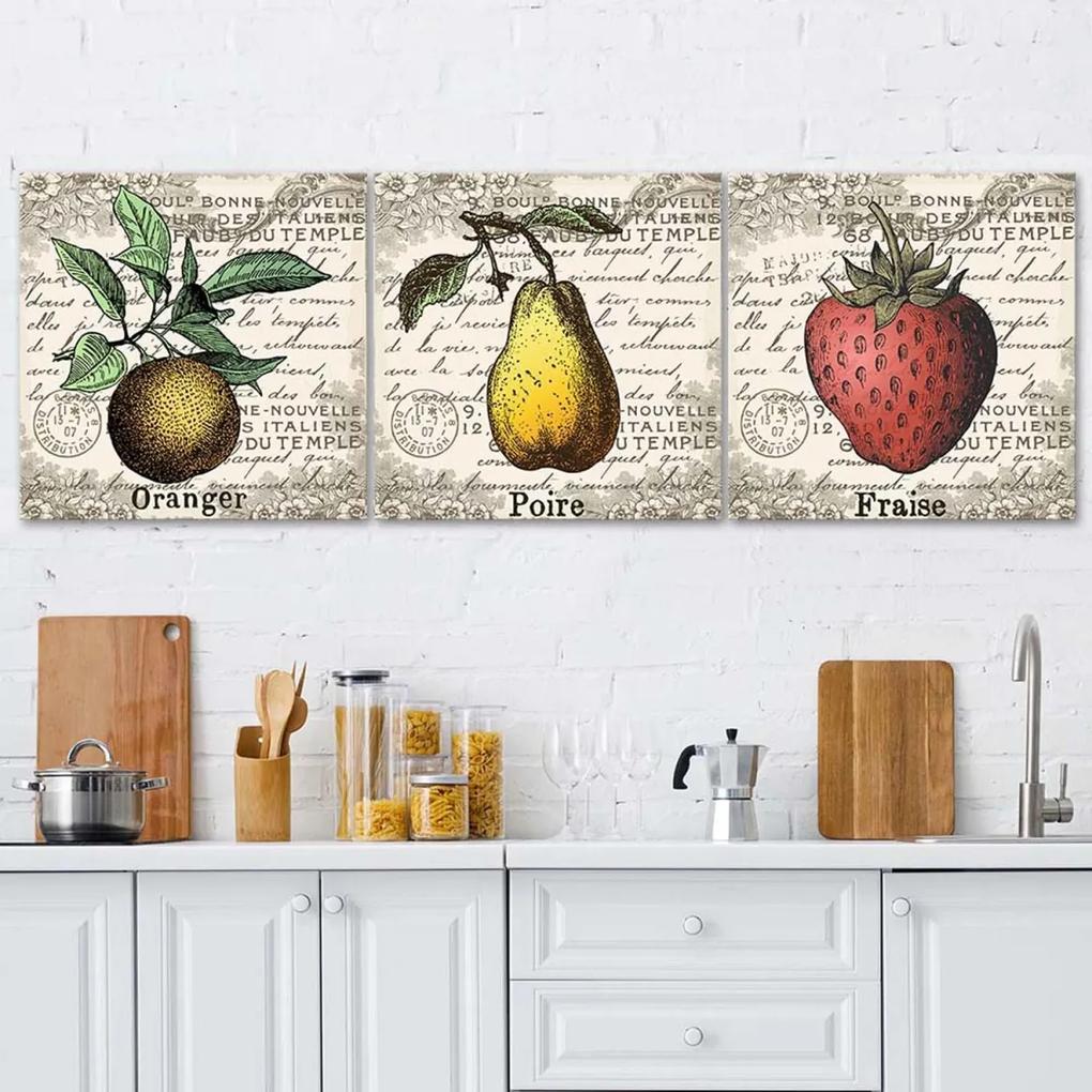 Obraz na plátně třídílný Retro ovoce - 120x40 cm