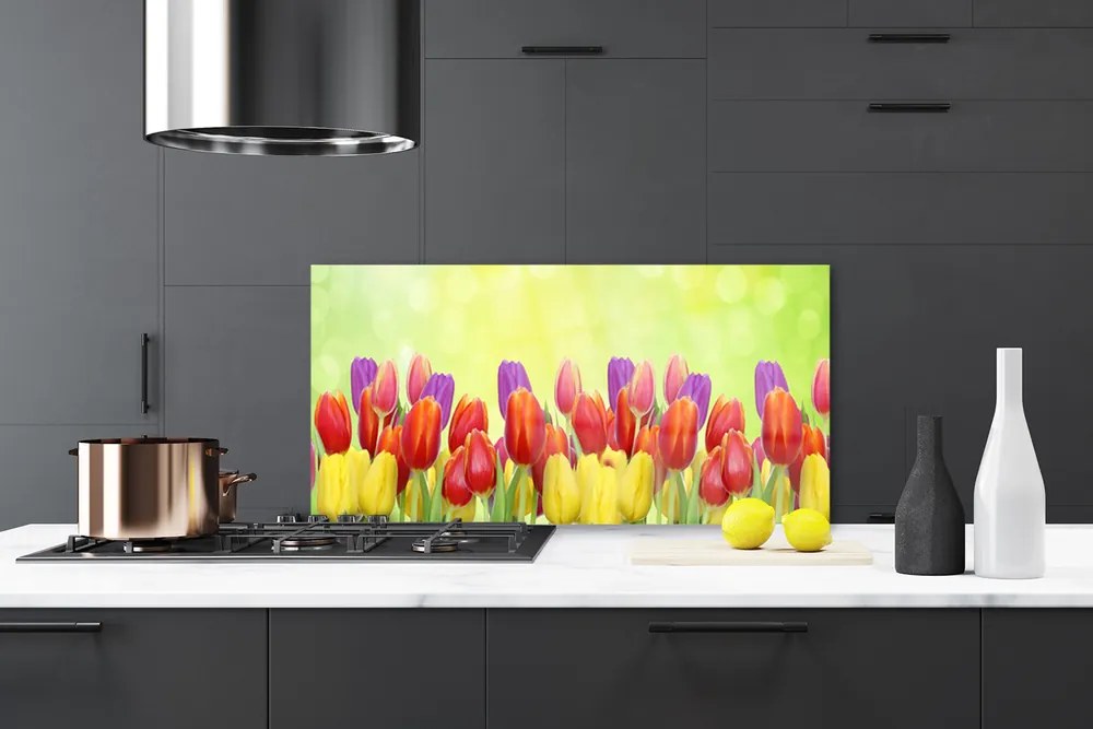 Sklenený obklad Do kuchyne Tulipány kvety rastlina 100x50 cm