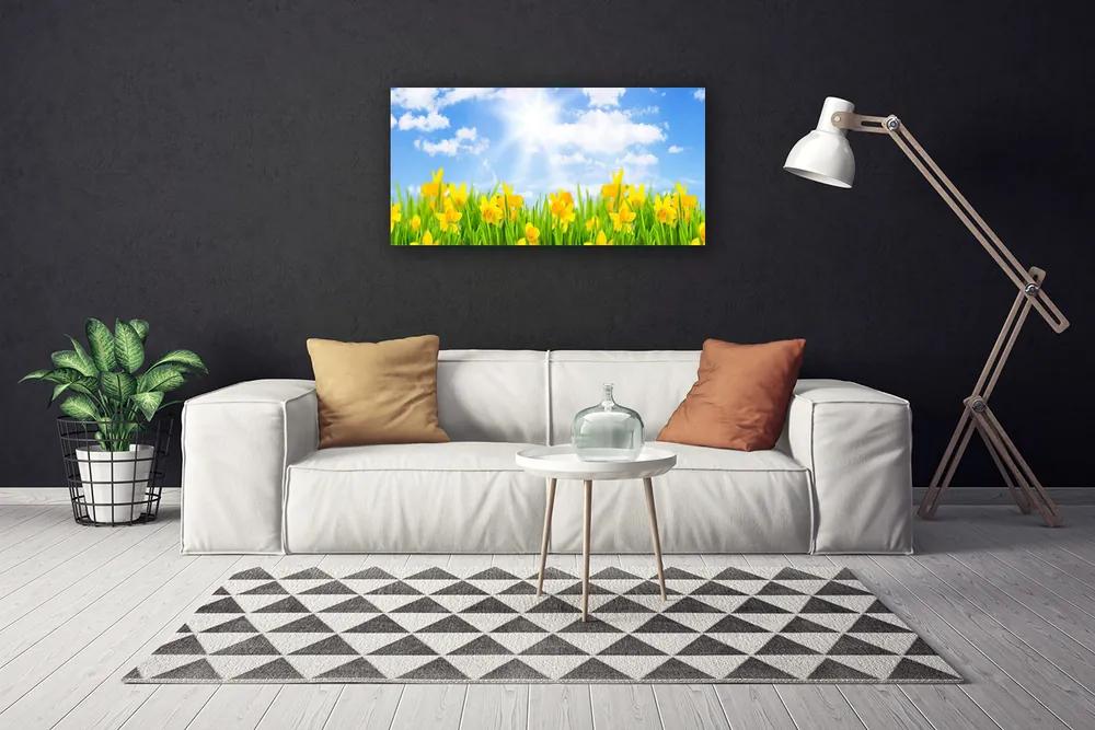 Obraz Canvas Narcisy lúka tráva príroda 125x50 cm