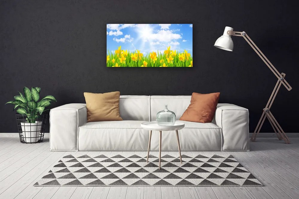Obraz Canvas Narcisy lúka tráva príroda 140x70 cm
