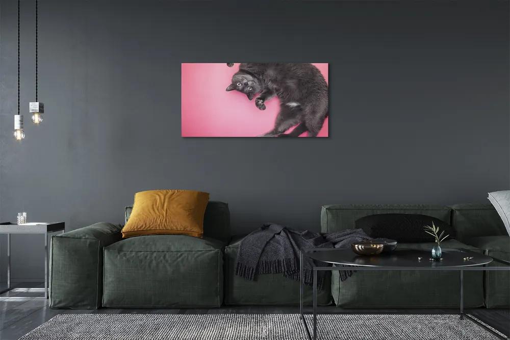 Obraz na plátne ležiace mačka 125x50 cm