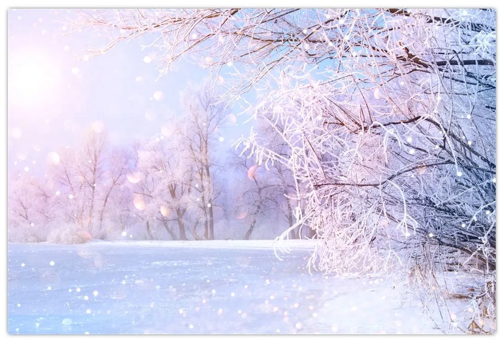 Obraz - Mrazivá zima (90x60 cm)