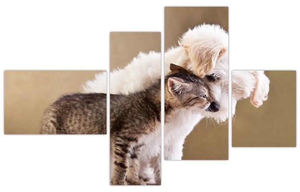 Mačiatko a šteňa - obraz