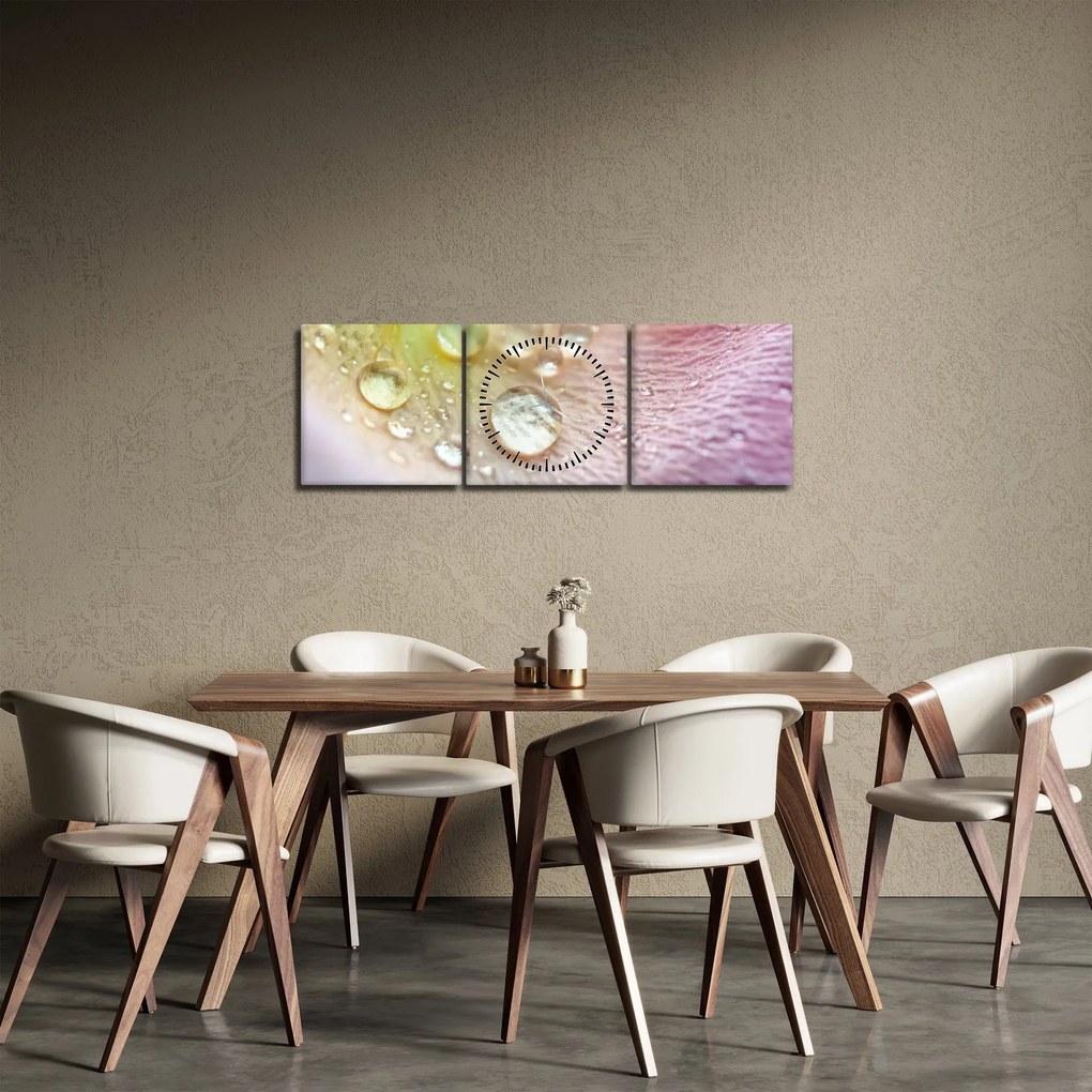 Obraz - Kvapky rosy (s hodinami) (90x30 cm)