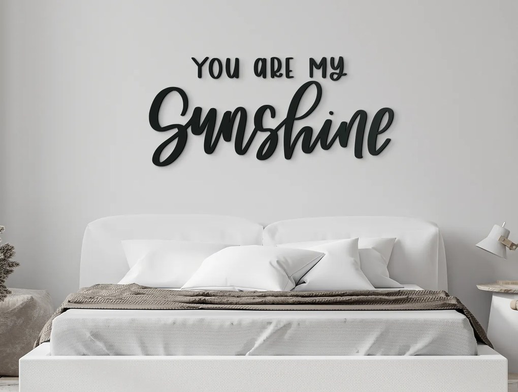 drevko Nápis na stenu You are my sunshine Rozmer obrazu: 19 x 42,5 cm, Farba dekorácie: Čierna