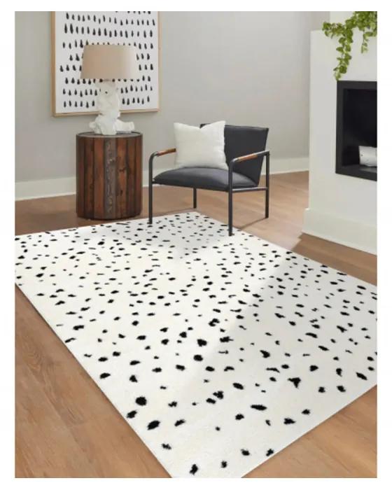Kusový koberec Catal krémovočierný 240x330cm