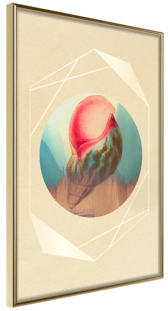 Artgeist Plagát - Seashell [Poster] Veľkosť: 20x30, Verzia: Zlatý rám s passe-partout