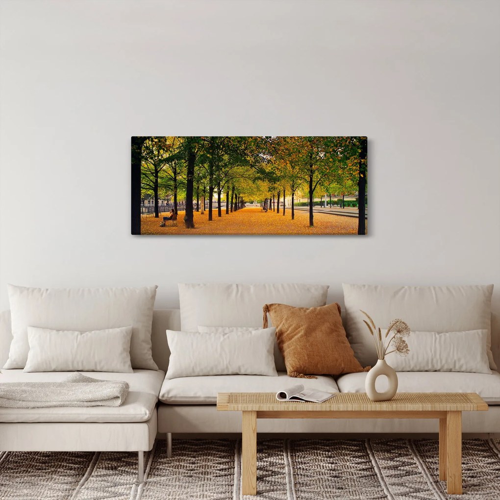 Obraz aleje jesenných stromov (120x50 cm)