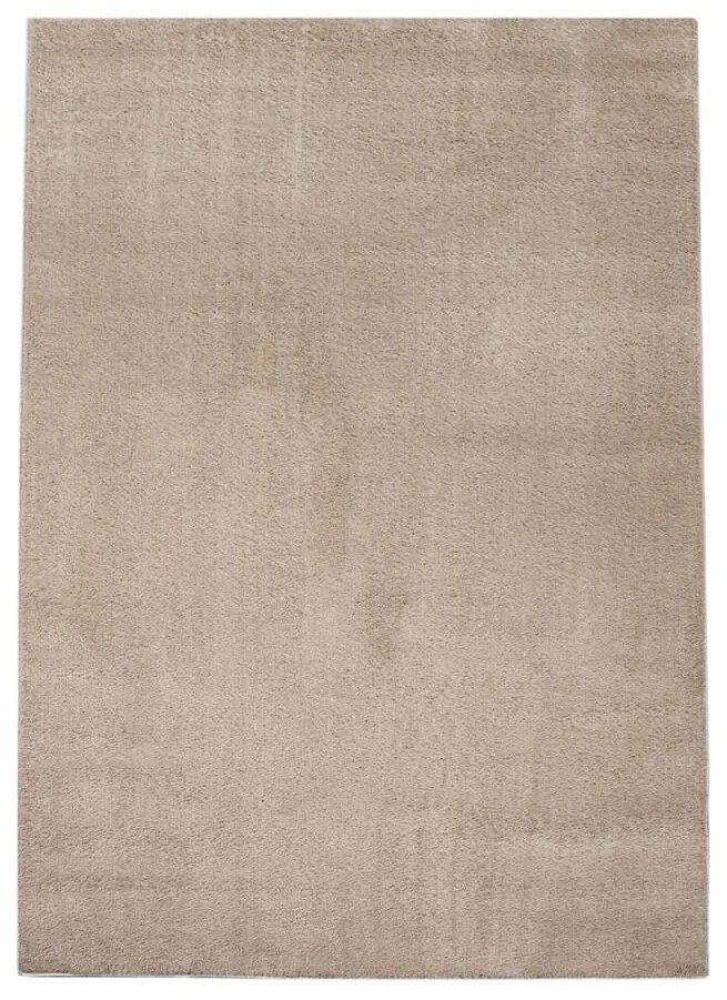 Dekorstudio Koberec s dlhým vlasom SOFTSHINE béžový Rozmer koberca: 160x220cm