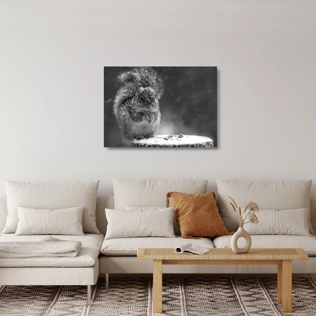 Sklenený obraz - Veverička v zime (70x50 cm)
