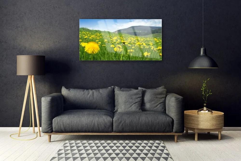 Obraz na skle Púpava príroda 120x60 cm
