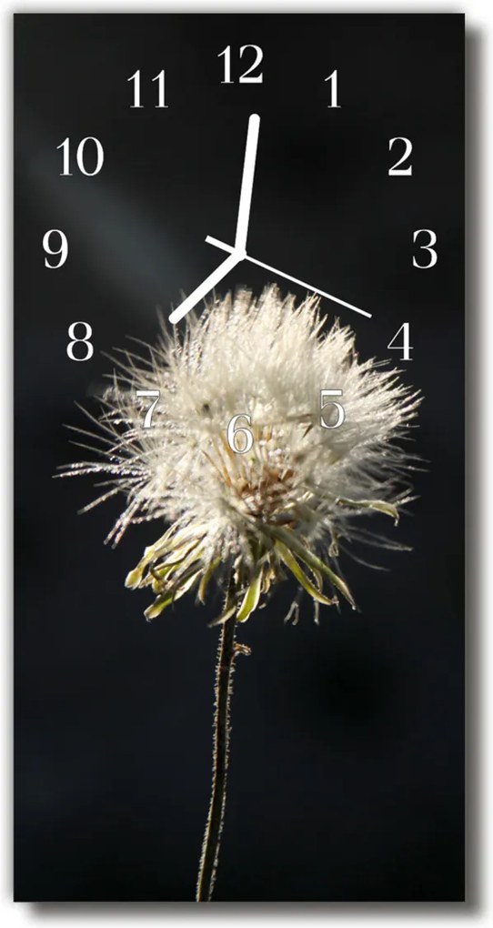 Sklenené hodiny vertikálne  Kvety Čierna púpava