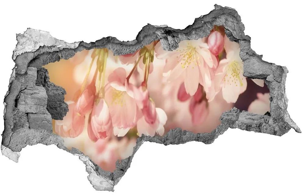 Samolepiaca diera na stenu Čerešňové kvety nd-b-81037561