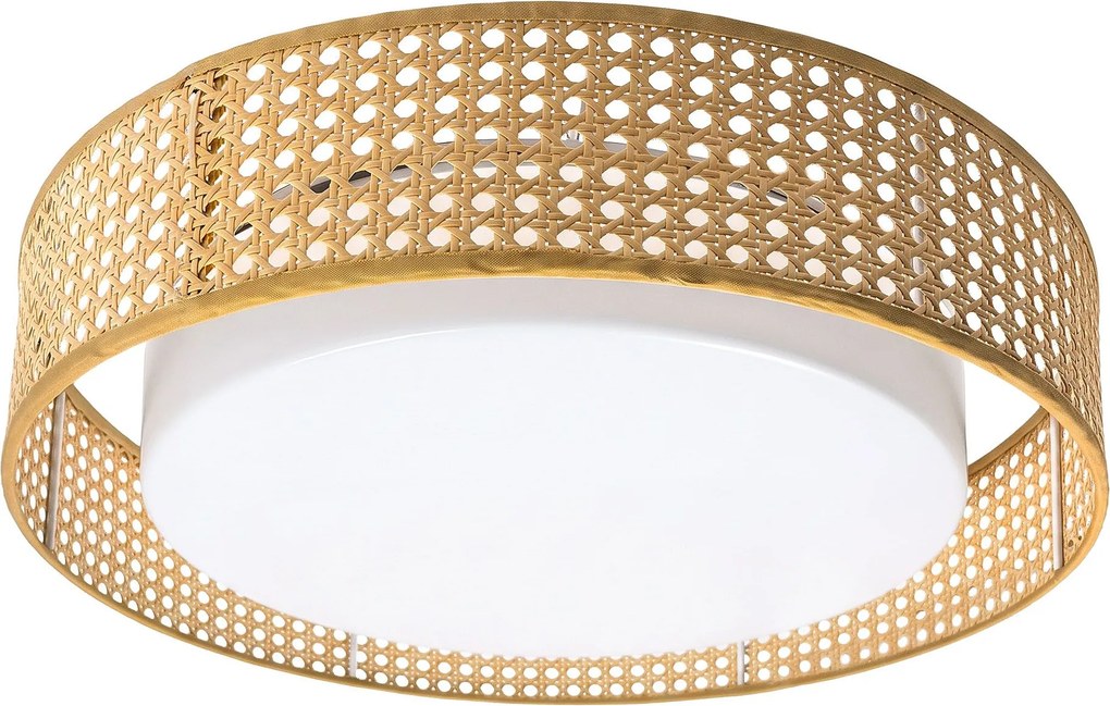 Toolight Toolight, LED stropné svietidlo plafón s ratanovým tienidlom 50cm, 4000K, APP1934-C, biela-ratan, OSW-66090