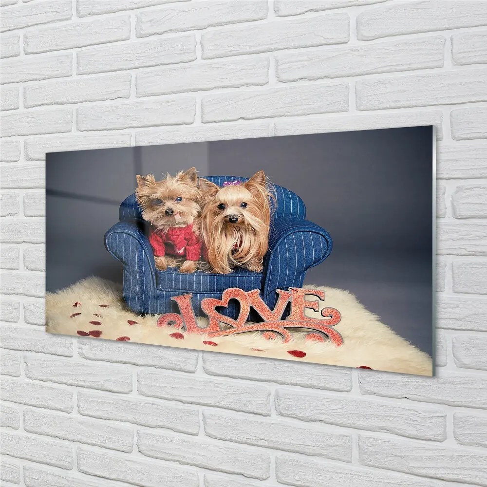 Sklenený obraz yorkie 100x50 cm 2 Prívesky