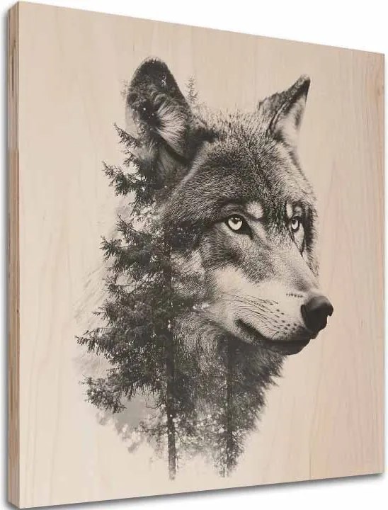 Obraz na dreve Varg - Duch škandinávskej divočiny
