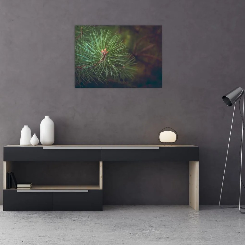Sklenený obraz - Detail borovice (70x50 cm)