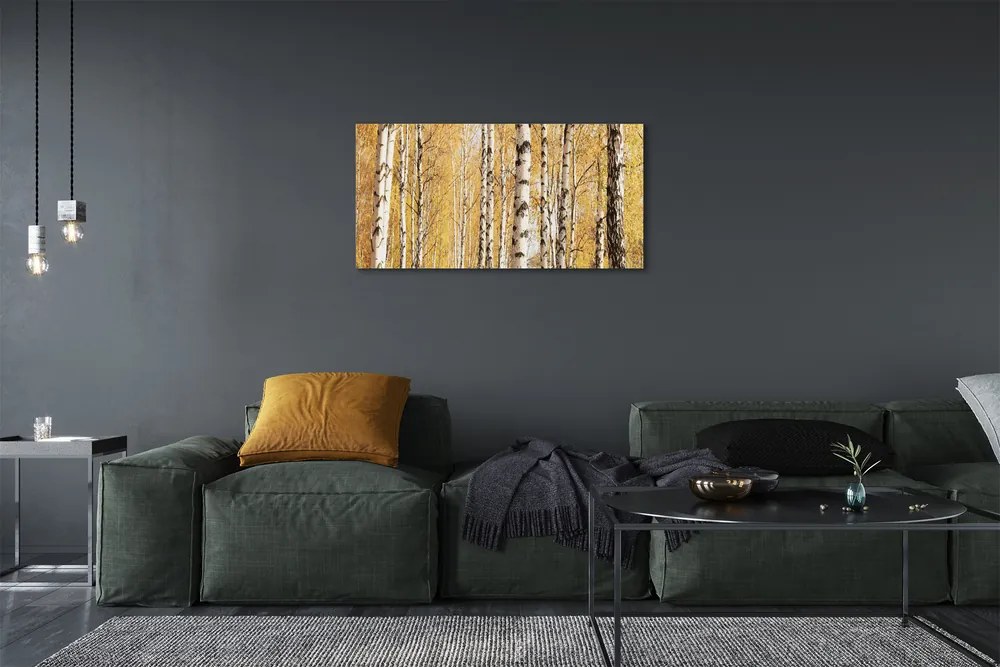 Obraz canvas jesenné stromy 125x50 cm