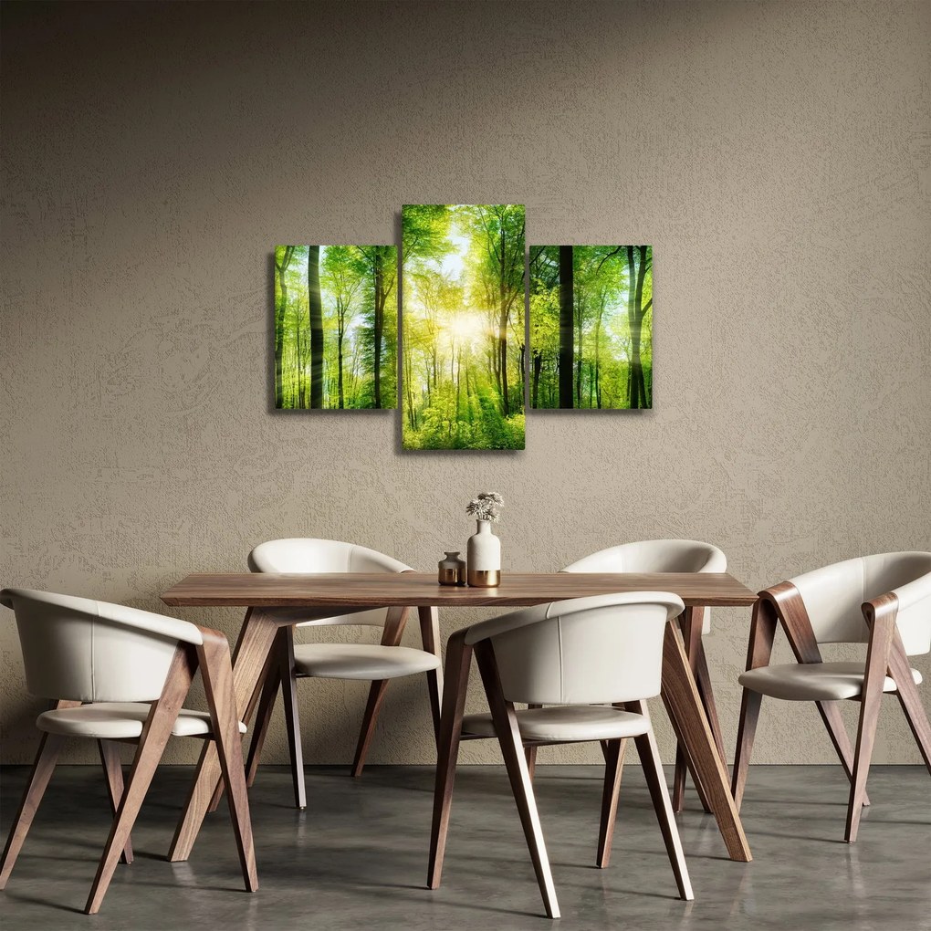 Obraz - Svitanie v lese (90x60 cm)