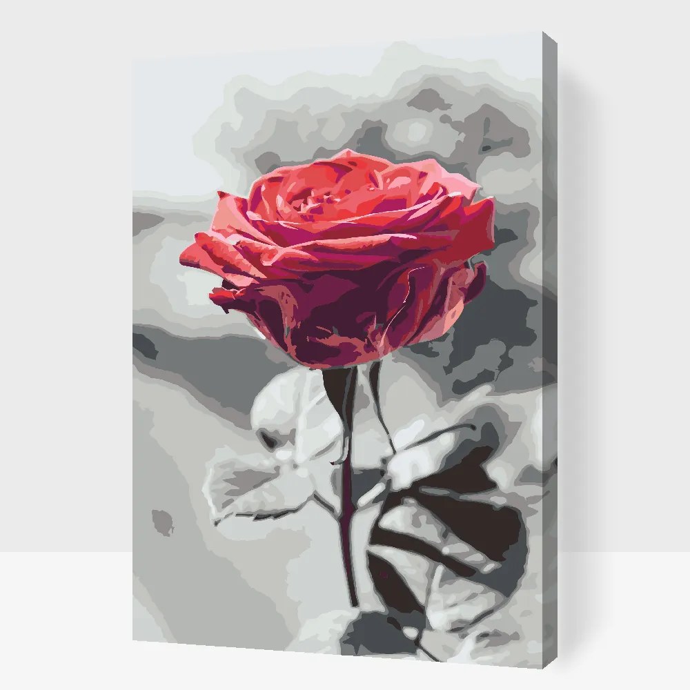 Gario Maľovanie podľa čísel Rozkvitnutá ruža Rozmery: 40 x 60 cm, Rámovanie: S vnútorným rámom