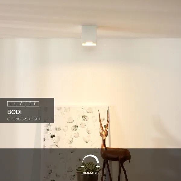 Lucide 09101/01/31 - Bodové svietidlo BODI 1xGU10/50W/230V