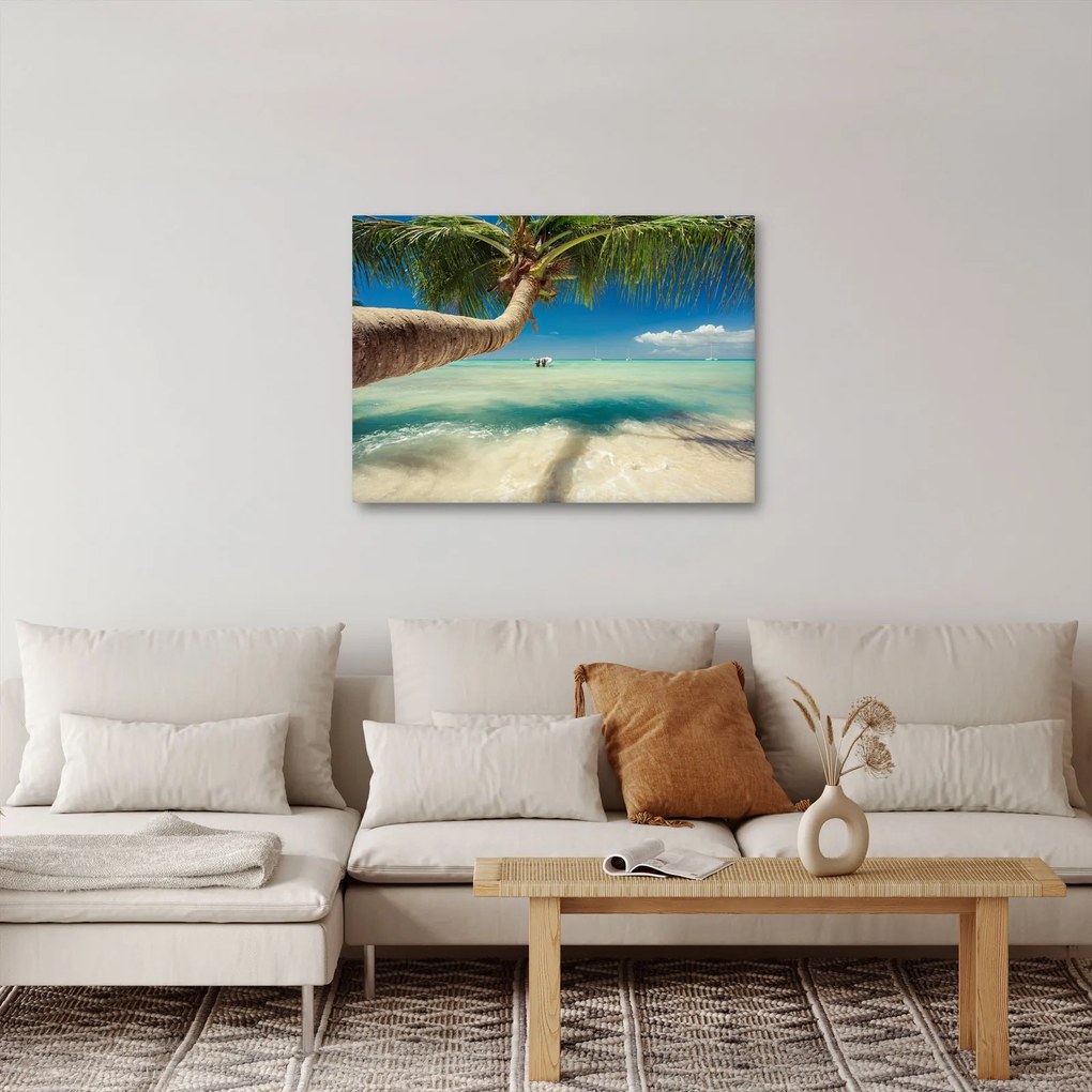 Obraz - Čisté more s palmou (70x50 cm)