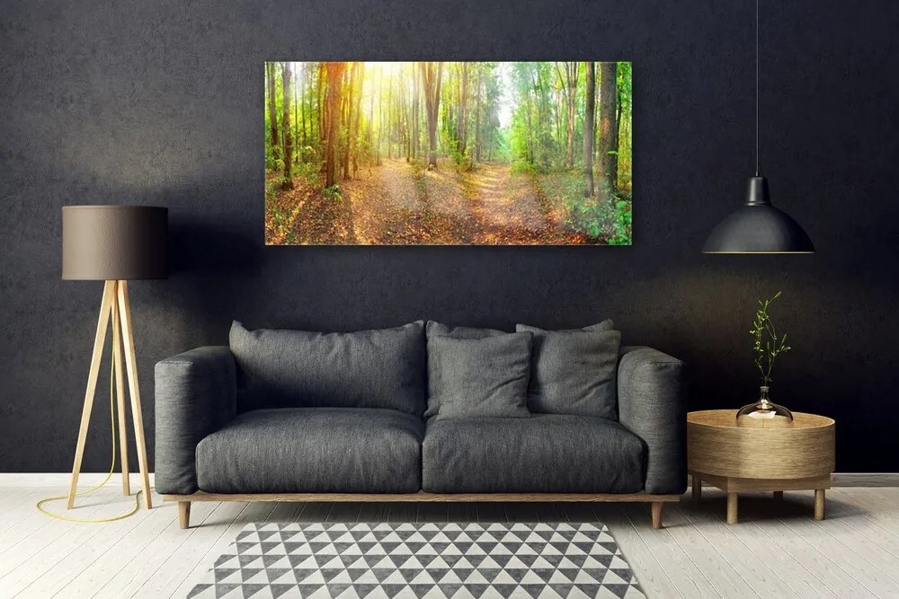 Obraz plexi Slnko príroda lesné chodník 120x60 cm