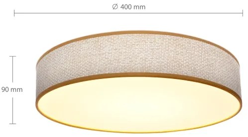 Brilagi - LED Stmievateľné stropné svietidlo CARMEN LED/48W/230V 3000-6500K + DO