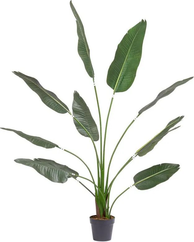 Exteriérová umelá rastlina Strelitzia, V 180 cm