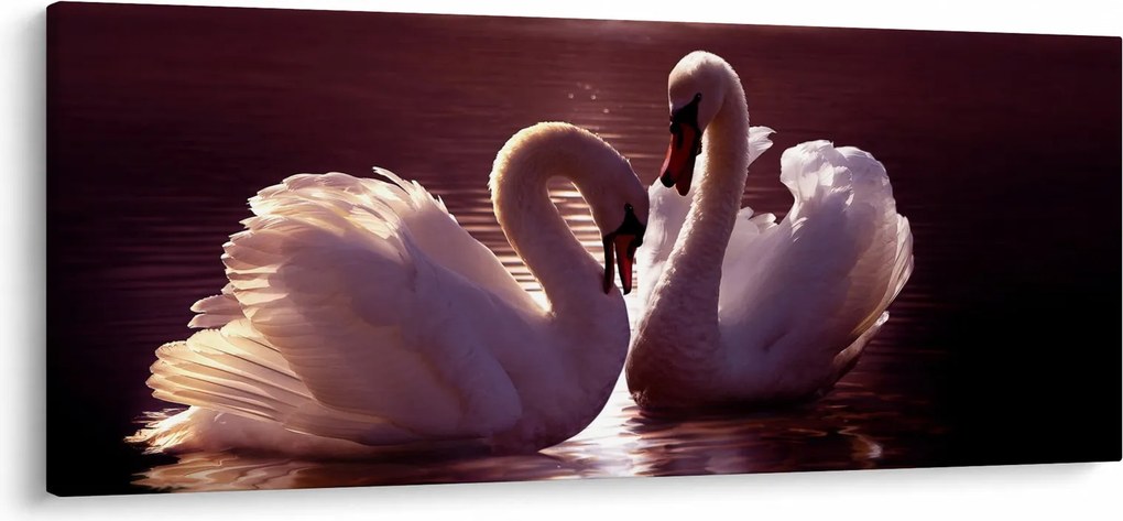 Obraz - Labute na jazere (120x50 cm)