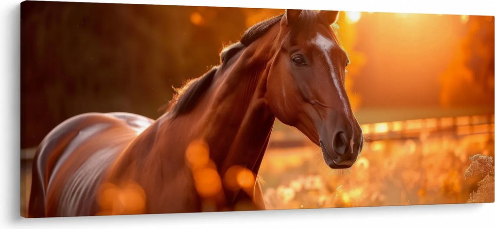 Obraz - Kôň v západe slnka (120x50 cm)