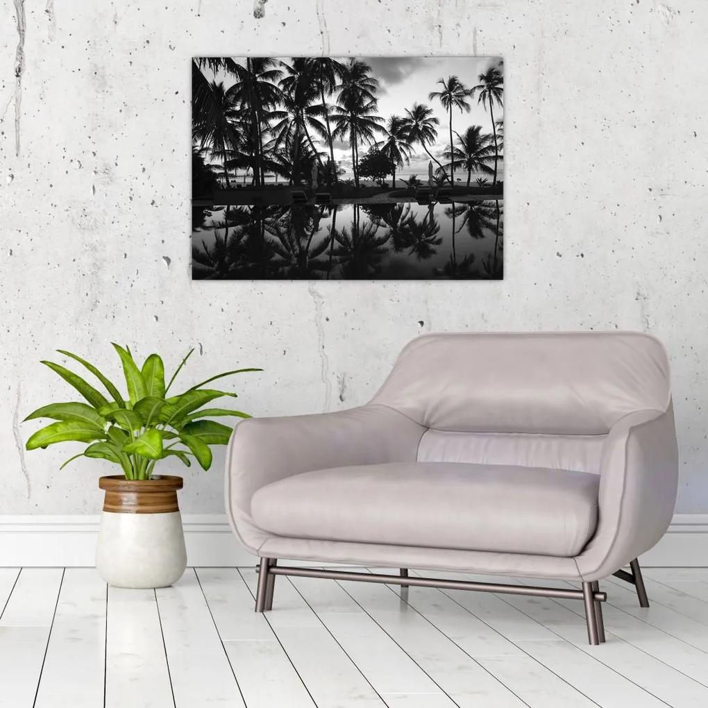 Sklenený obraz tropického ostrova (70x50 cm)
