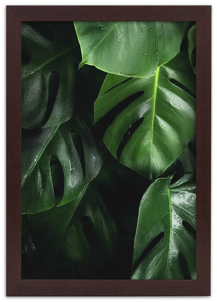 Gario Plagát Módne listy monstery Farba rámu: Čierna, Rozmery: 70 x 100 cm