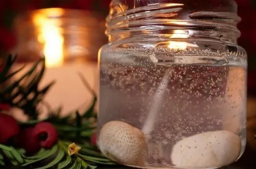 Rappa Veselá věda - Bylinkové tvoření (Fun Science- Herb Crafting)