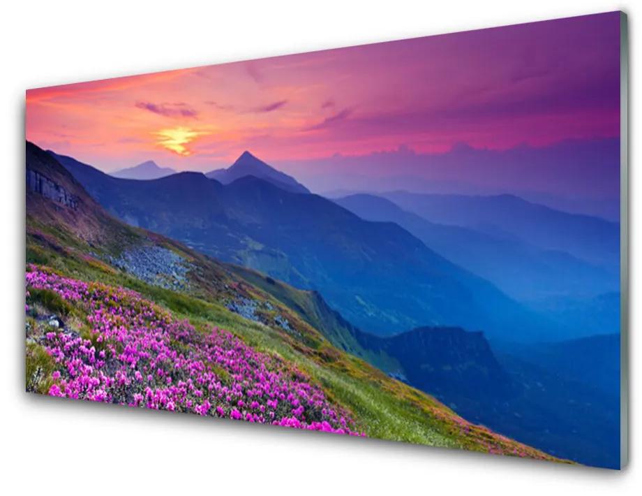 Obraz na akrylátovom skle Hory lúka kvety príroda 100x50 cm