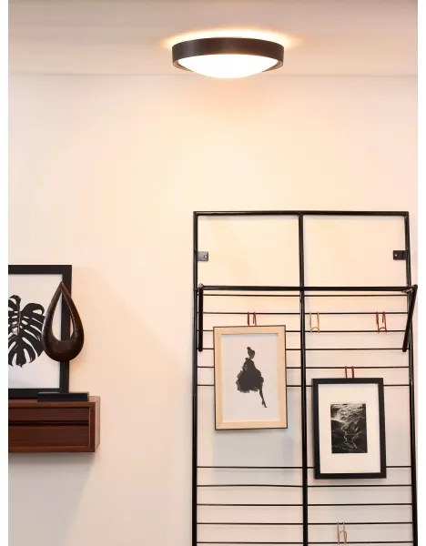 Lucide 08109/02/30 - Stropné svietidlo LEX 2xE27/9W/230V čierna