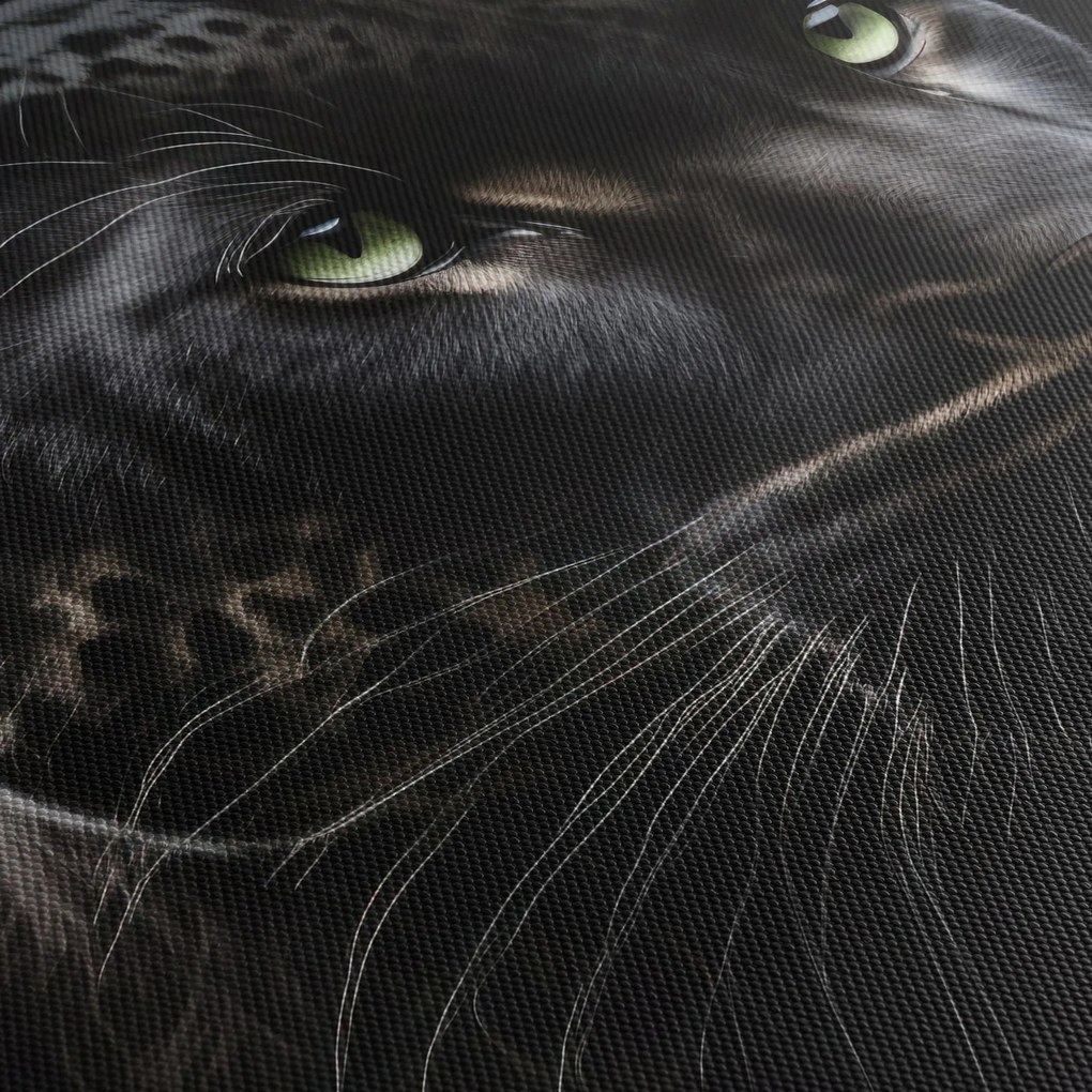 Obraz - Čierny panter (150x105 cm)