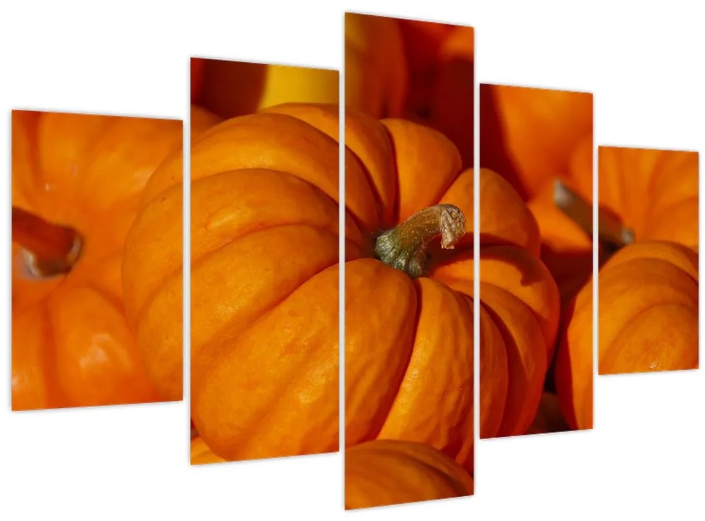 Obraz - Veľké tekvice (150x105 cm)