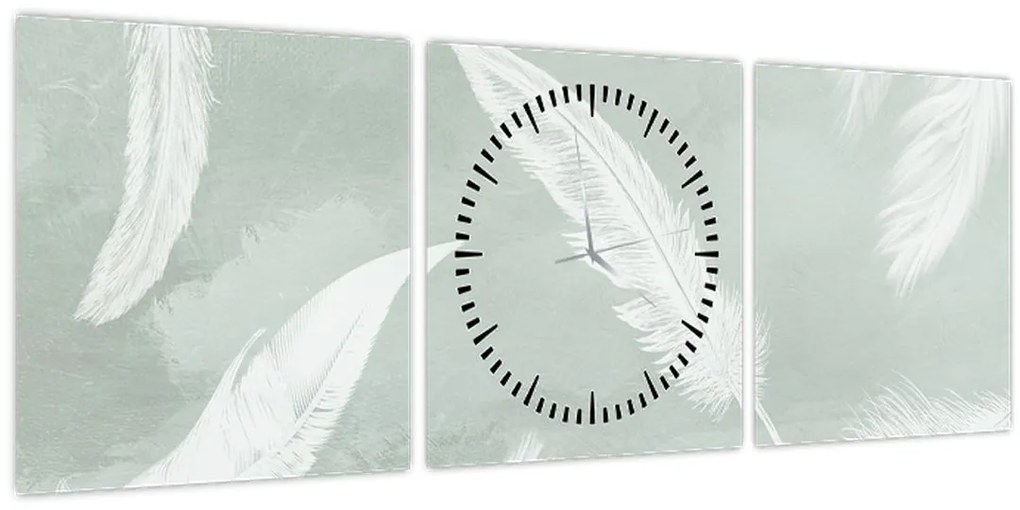 Obraz - Biele pierka (s hodinami) (90x30 cm)