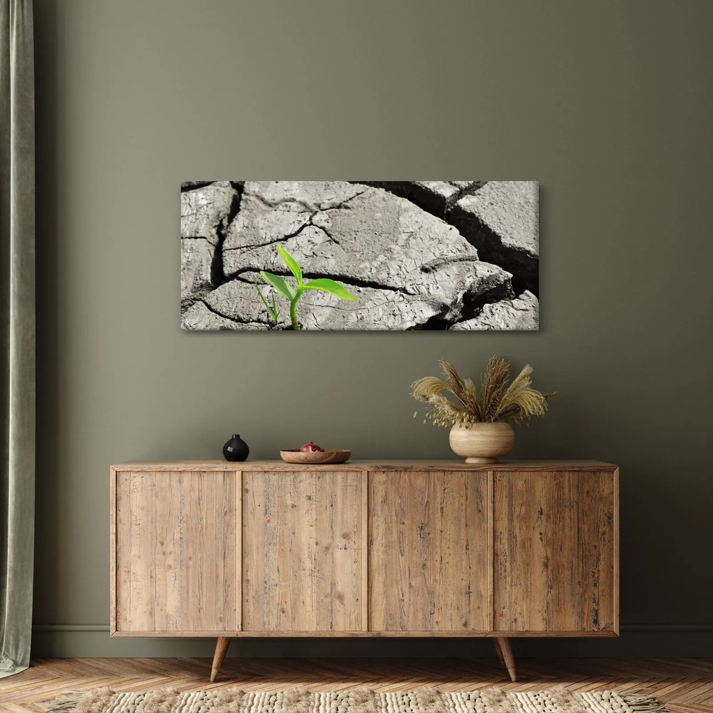 Obraz - Praskliny (120x50 cm)