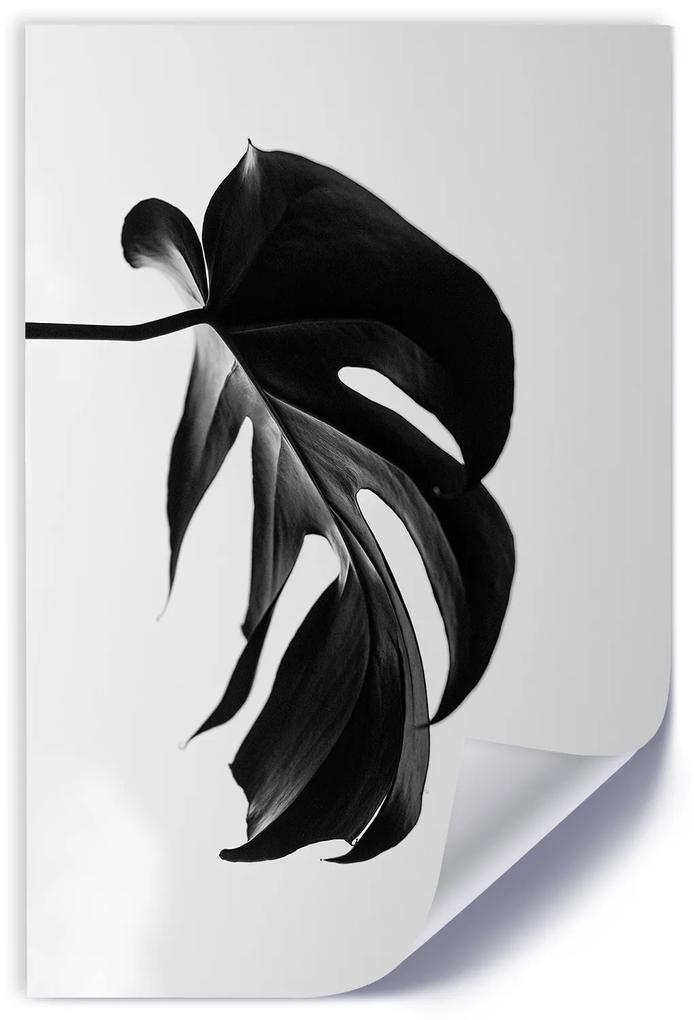 Gario Plagát Čierna a biela monstera list Farba rámu: Bez rámu, Rozmery: 20 x 30 cm