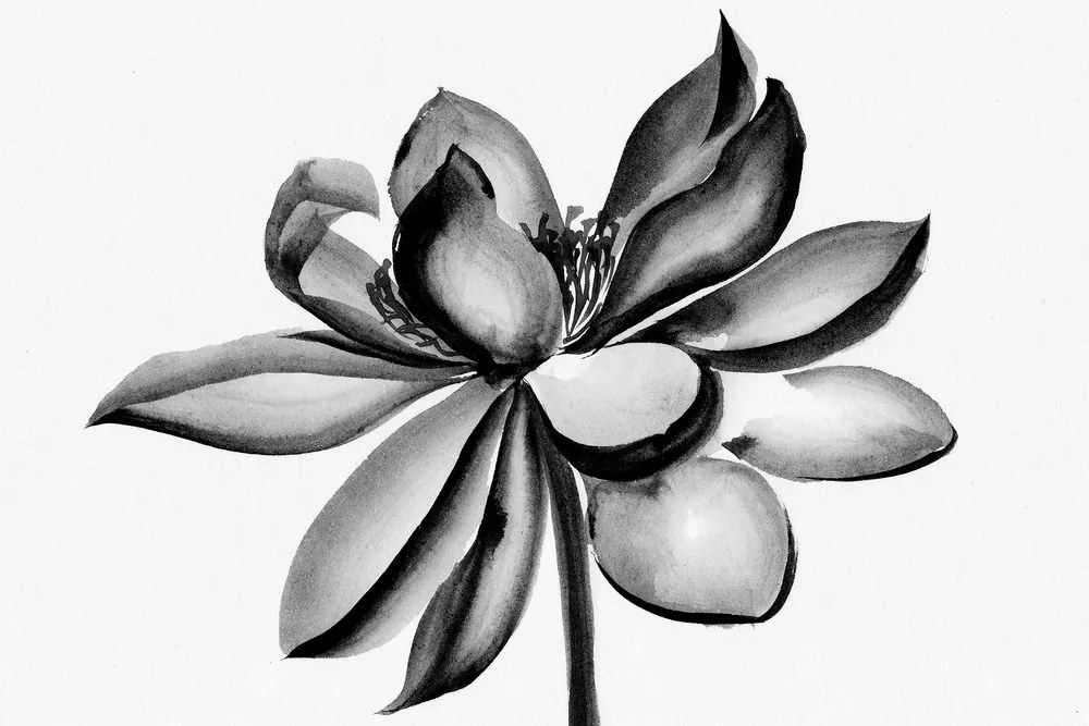 Obraz akvarelový lotosový kvet v čiernobielom prevedení