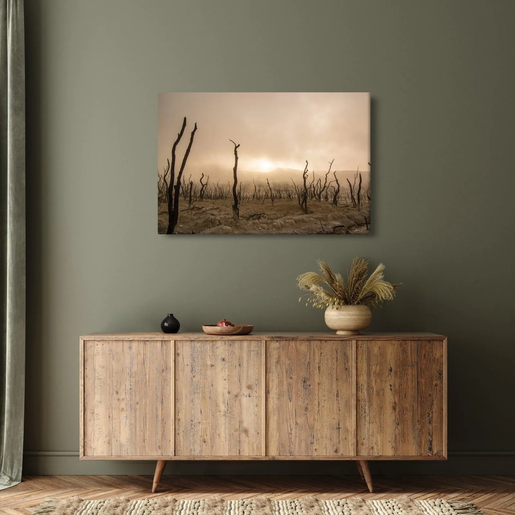 Obraz - Holé stromy (90x60 cm)