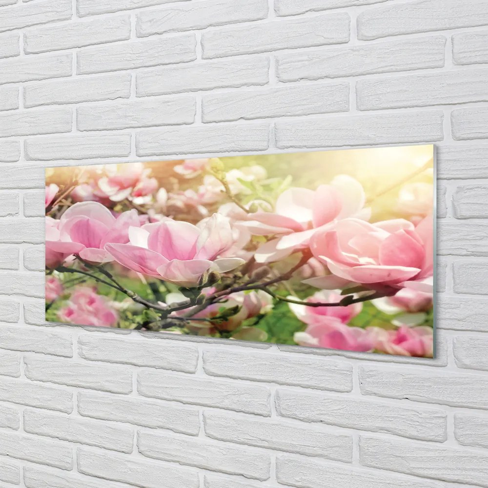 Obraz plexi Kvety 120x60 cm