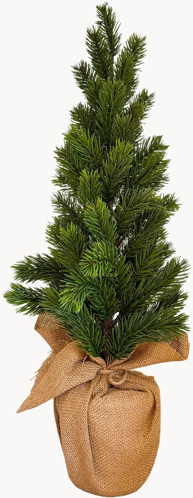 Vianočný stromček Clementine